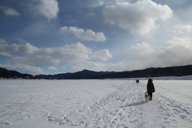 ファイル 34-3.jpg