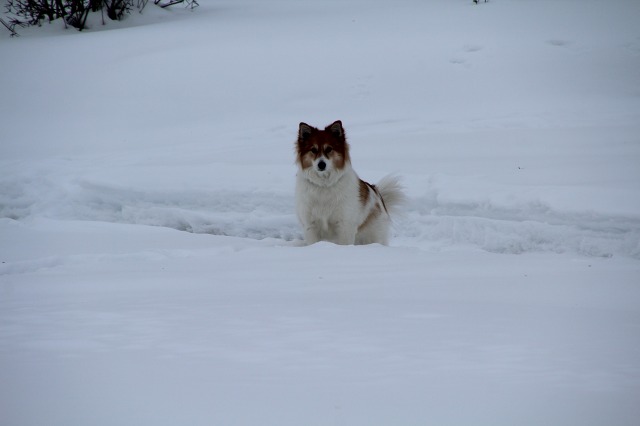 ファイル 35-7.jpg