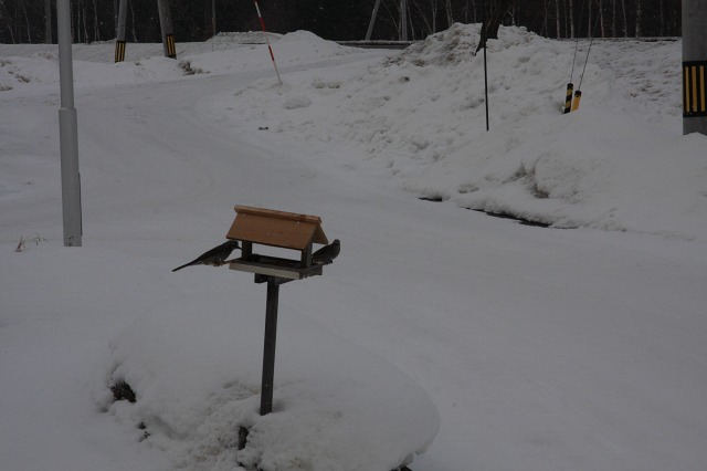 ファイル 38-1.jpg