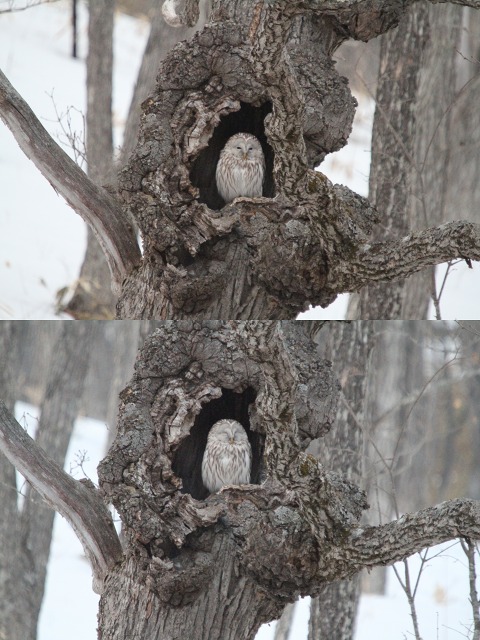 ファイル 41-8.jpg