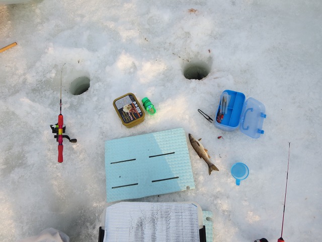 ファイル 42-6.jpg