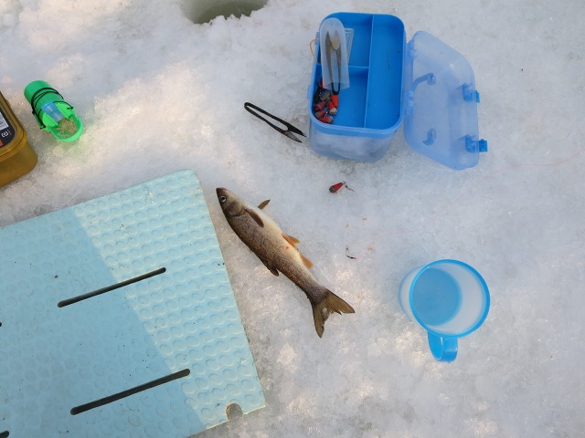 ファイル 42-7.jpg