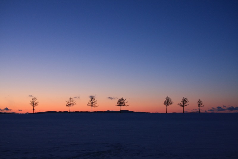 ファイル 43-2.jpg