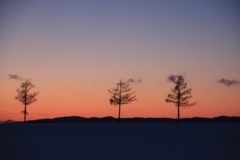 ファイル 43-3.jpg