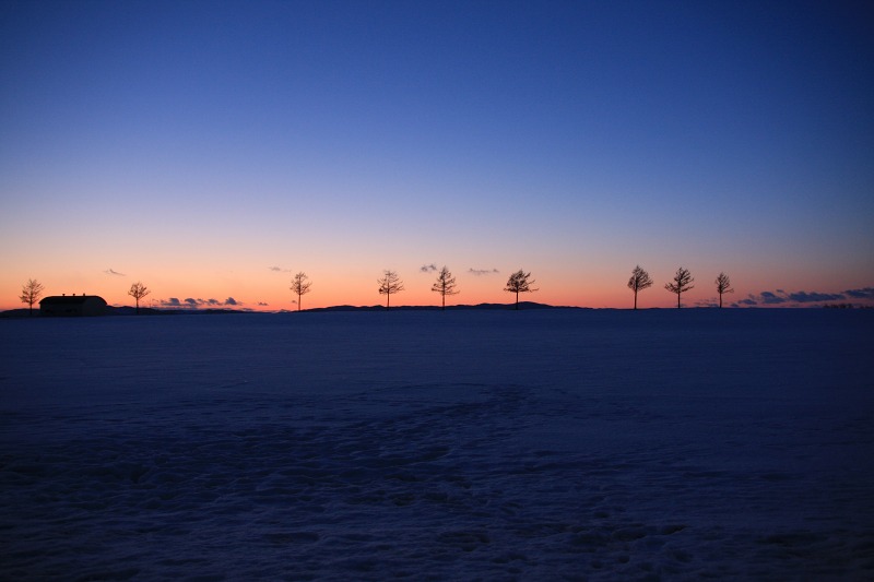 ファイル 43-4.jpg