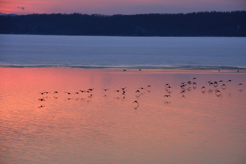 ファイル 48-1.jpg