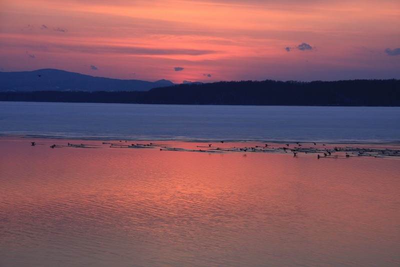 ファイル 48-2.jpg