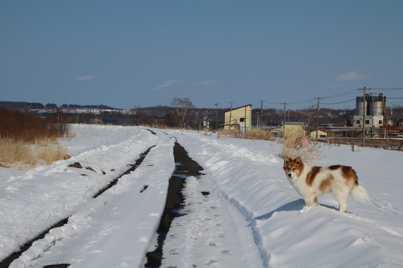 ファイル 49-5.jpg