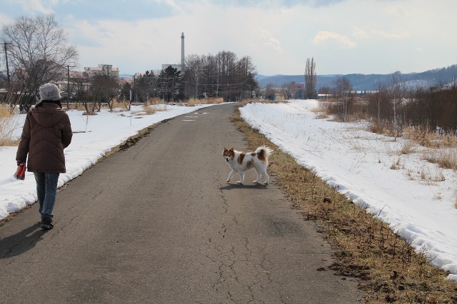 ファイル 52-1.jpg