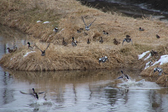 ファイル 52-3.jpg