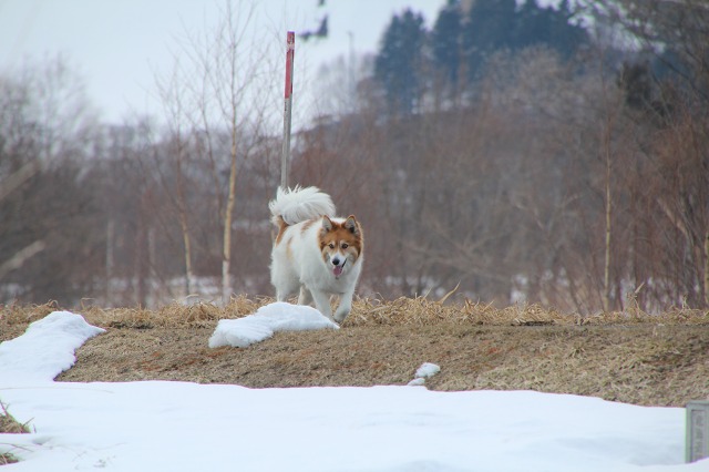 ファイル 52-4.jpg