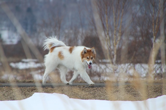 ファイル 52-5.jpg