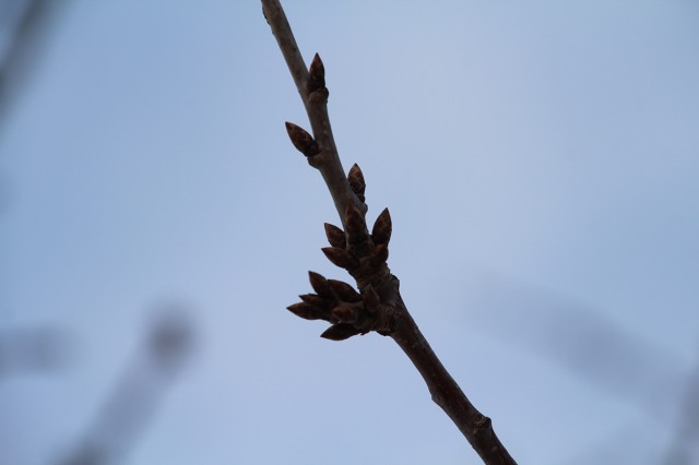 ファイル 52-8.jpg