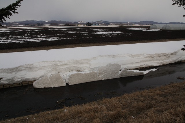 ファイル 53-3.jpg