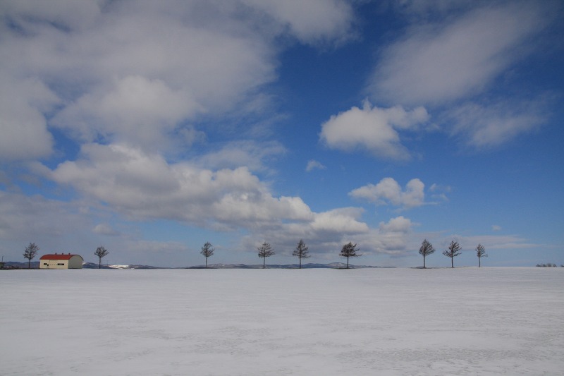 ファイル 53-6.jpg