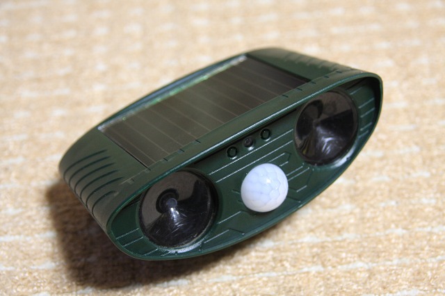 ファイル 54-1.jpg