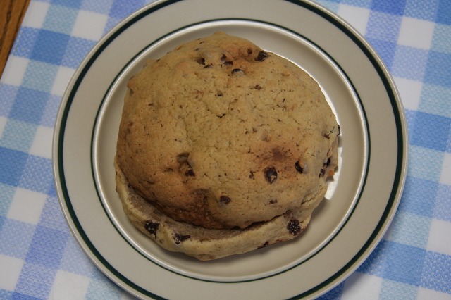 ファイル 55-4.jpg