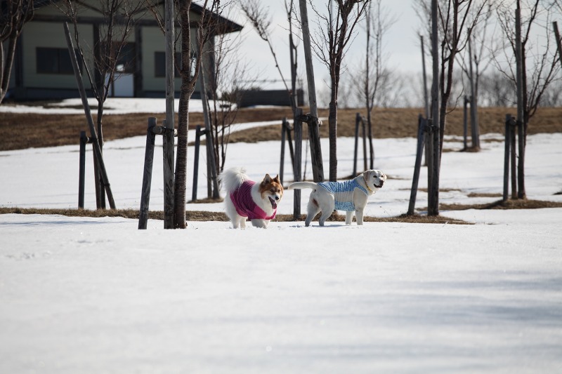 ファイル 57-2.jpg