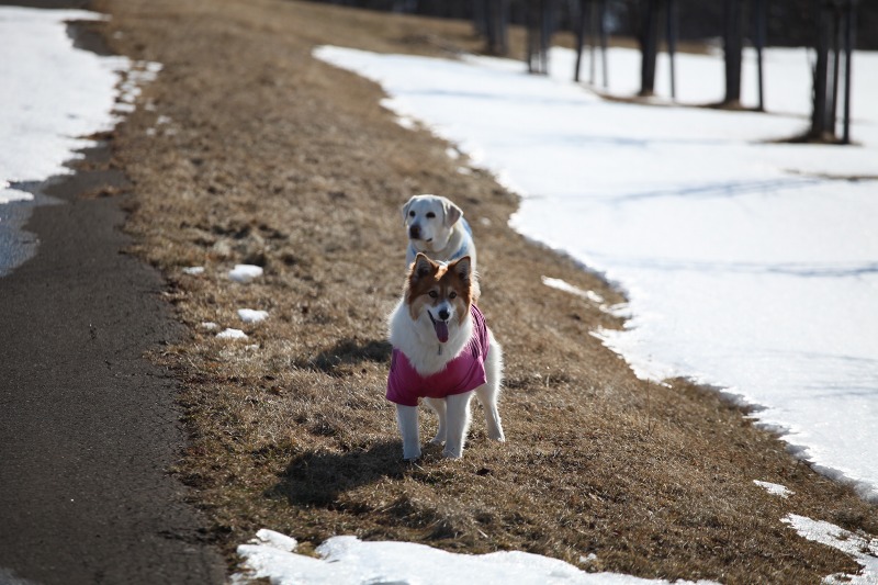 ファイル 57-3.jpg