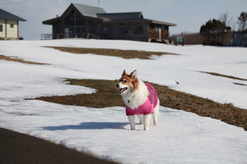 ファイル 57-5.jpg