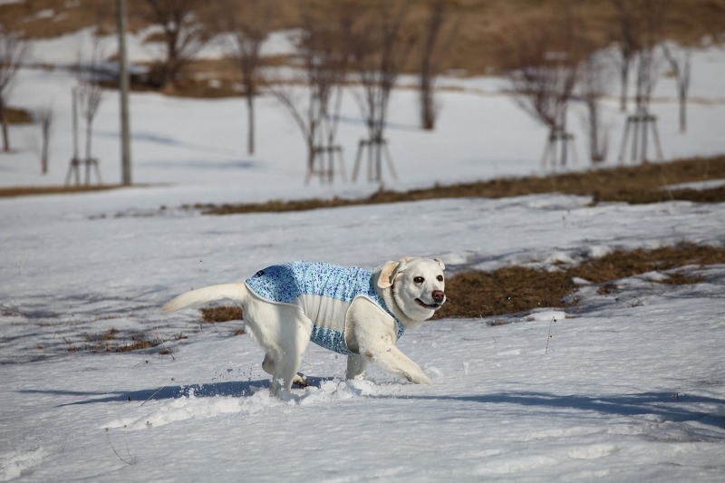 ファイル 57-6.jpg