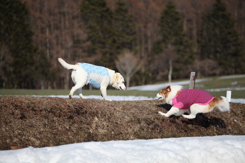 ファイル 57-7.jpg