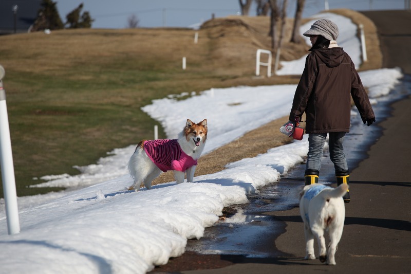 ファイル 57-8.jpg