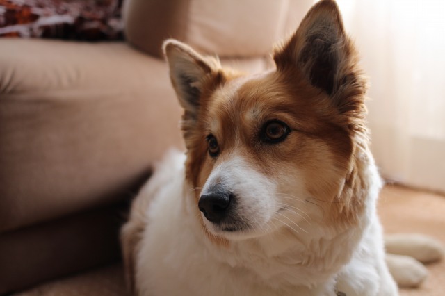 ファイル 58-3.jpg