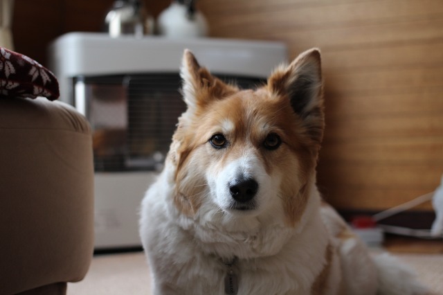 ファイル 58-4.jpg