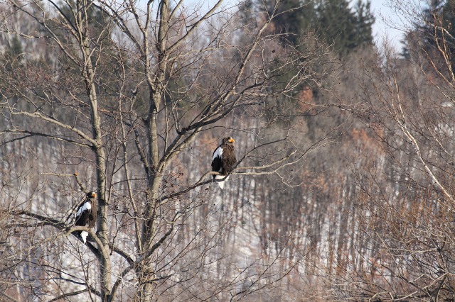 ファイル 6-2.jpg