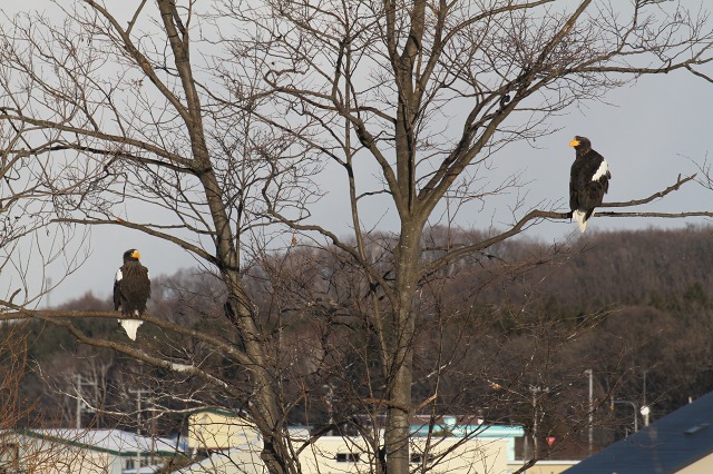 ファイル 6-3.jpg