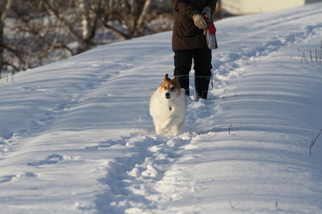 ファイル 6-4.jpg