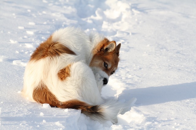 ファイル 6-7.jpg