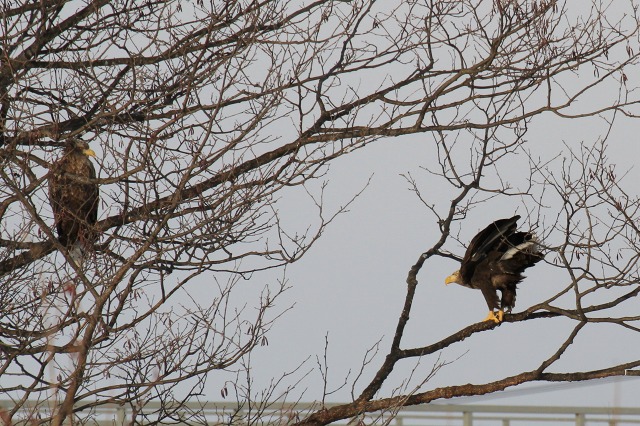 ファイル 6-8.jpg