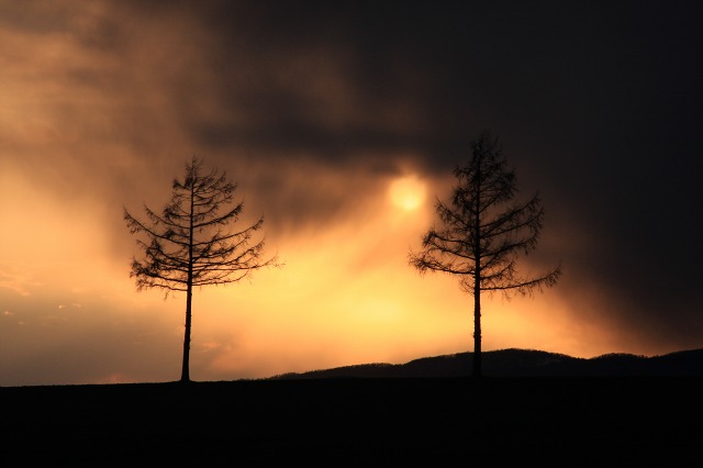 ファイル 60-6.jpg