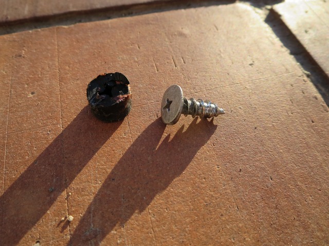 ファイル 61-6.jpg