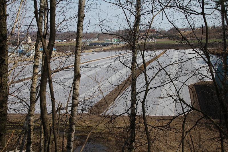 ファイル 62-1.jpg