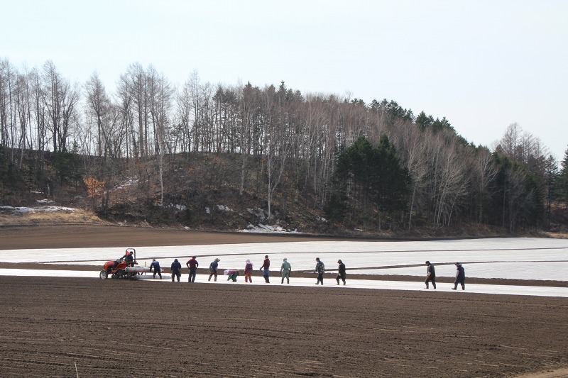 ファイル 62-2.jpg