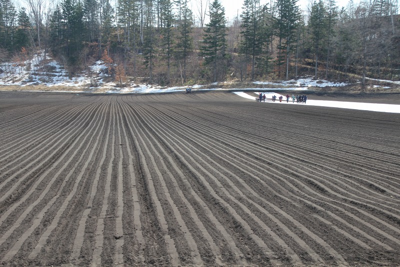 ファイル 62-5.jpg