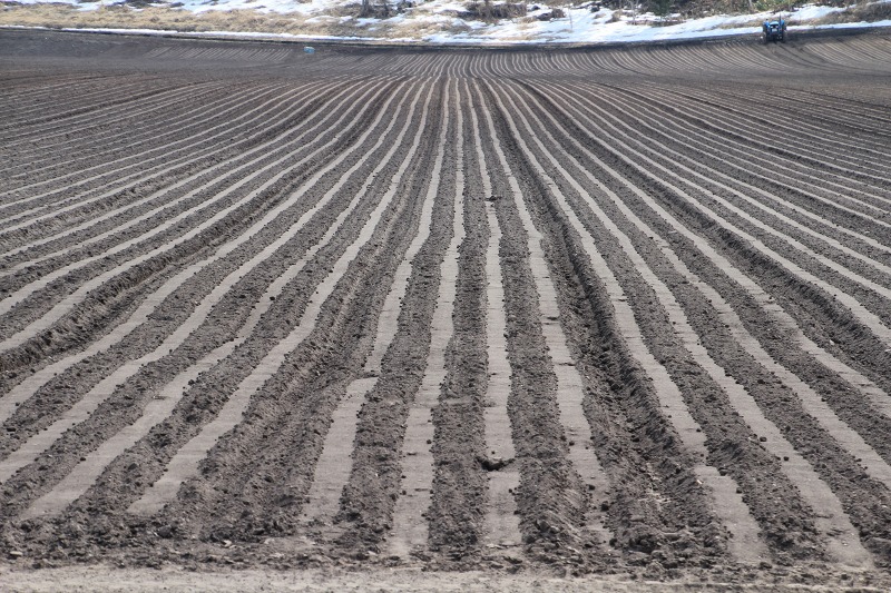 ファイル 62-6.jpg