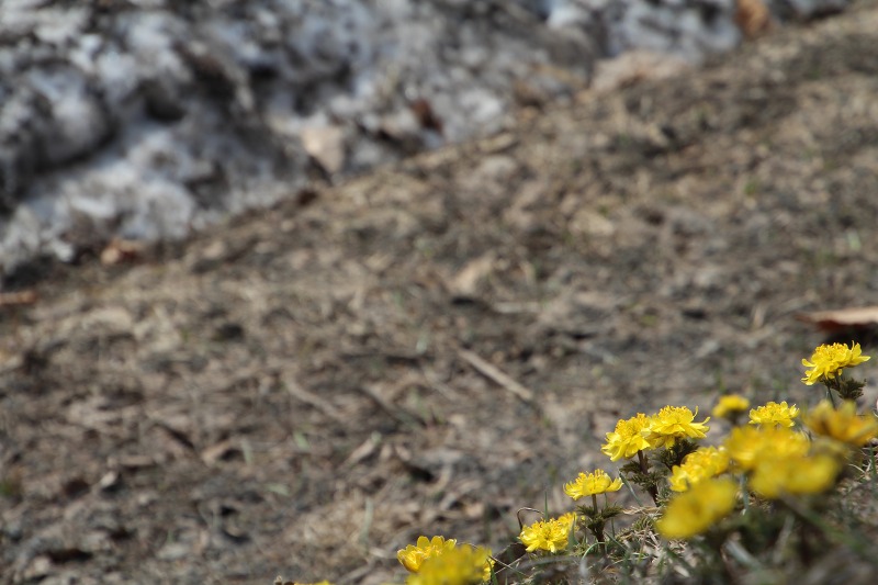 ファイル 62-8.jpg