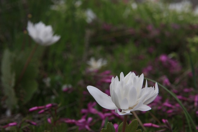 ファイル 67-3.jpg