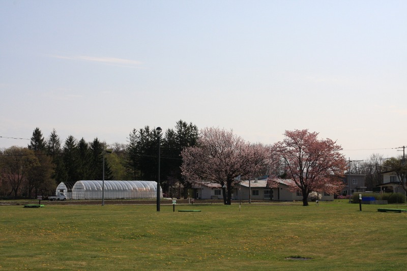 ファイル 68-1.jpg