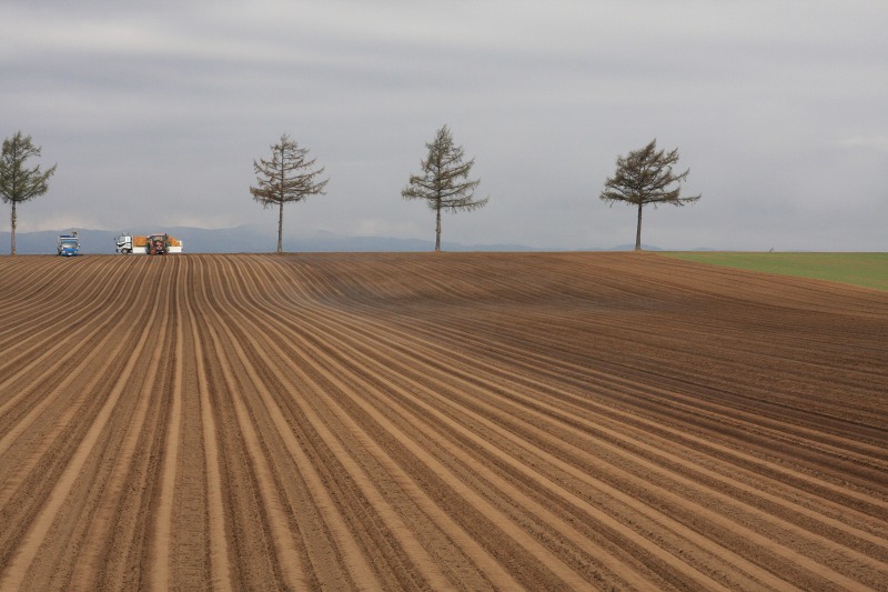 ファイル 68-2.jpg