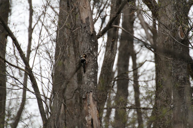 ファイル 69-4.jpg