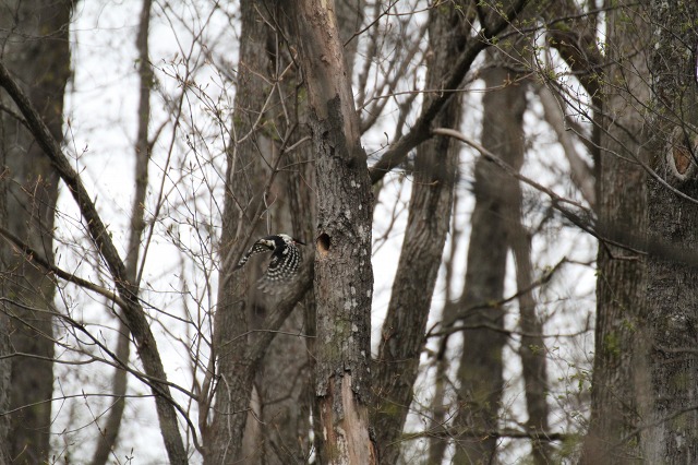 ファイル 69-7.jpg