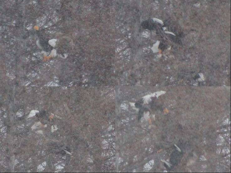 ファイル 7-4.jpg