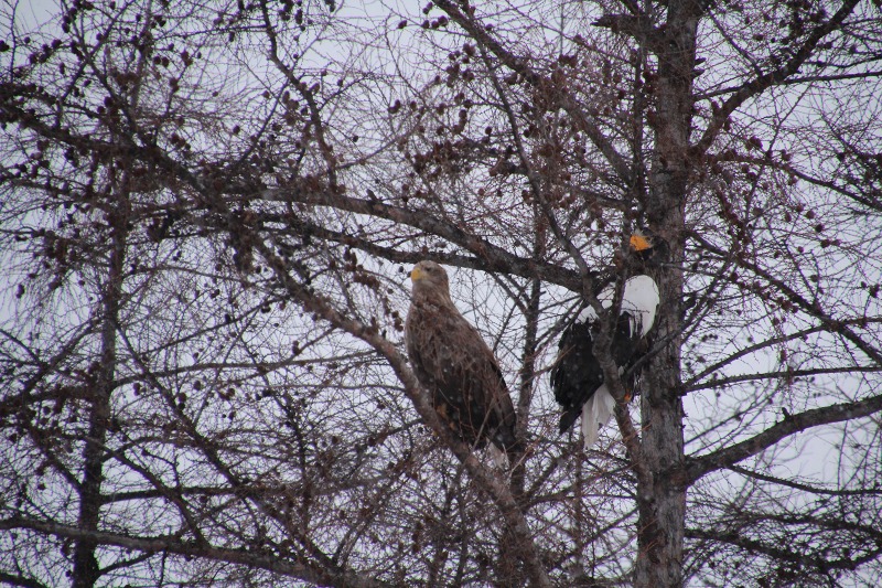 ファイル 7-5.jpg