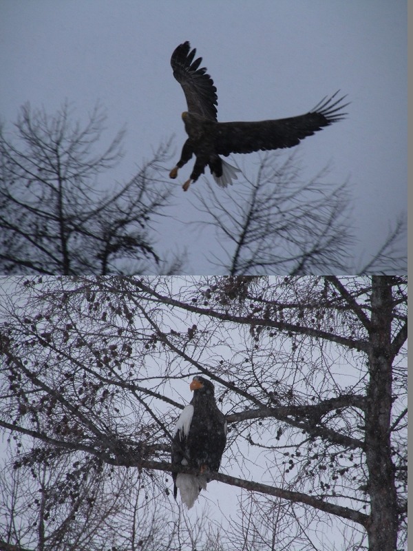 ファイル 7-6.jpg