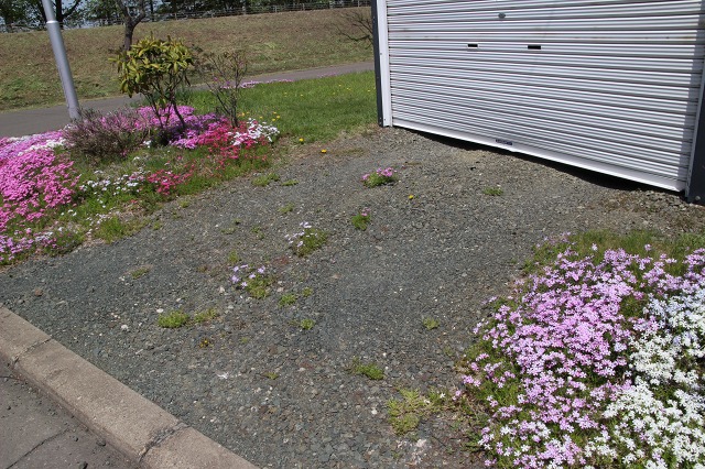 ファイル 71-2.jpg